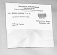 Image Associated With the Occurence